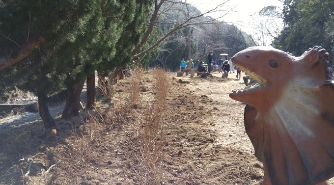 加太森林公園（和歌山市）