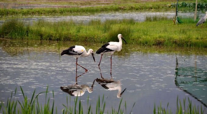 兵庫県立コウノトリの郷公園