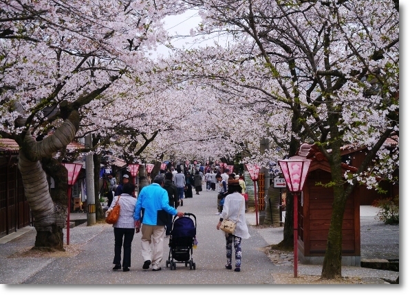 【新庄村】町並み保存地区