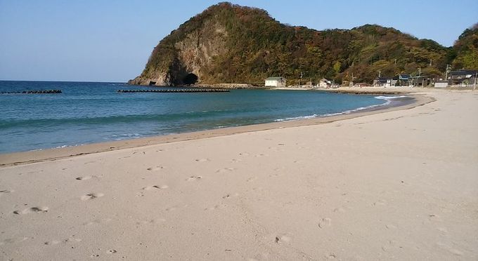 切浜
