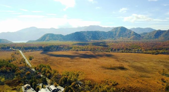 ラムサール条約登録湿地「戦場ヶ原」