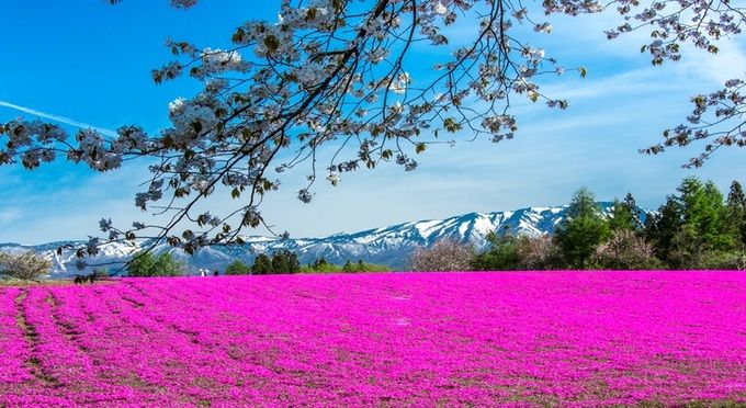 花工房　らら倶楽部