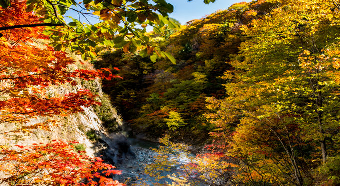 葛根田渓谷の紅葉
