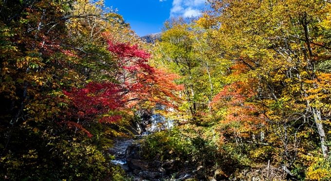 葛根田渓谷の紅葉