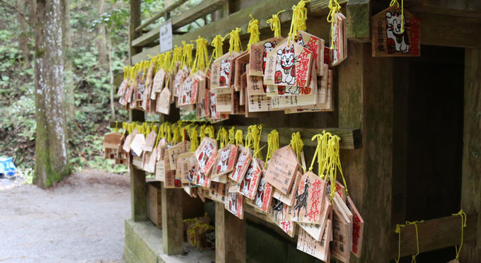 金持神社