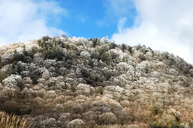 茶臼山