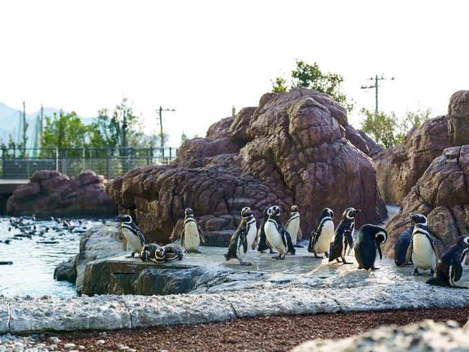うみがたり（上越市立水族博物館）