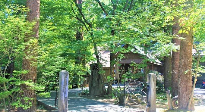 絵本美術館　森のおうち