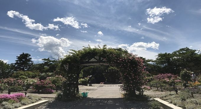豊科近代美術館【バラ5～6月】