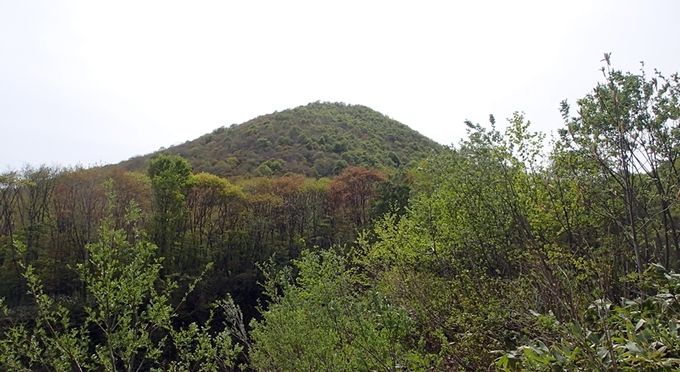 鞍掛山