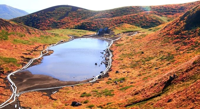 秋田駒ヶ岳