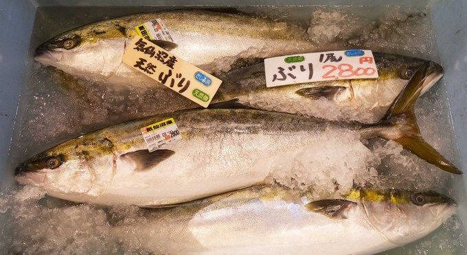 お魚いちば
