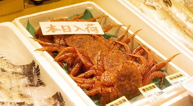 お魚いちば