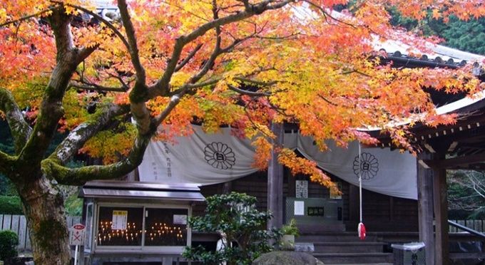 四国霊場八十一番札所　白峯寺