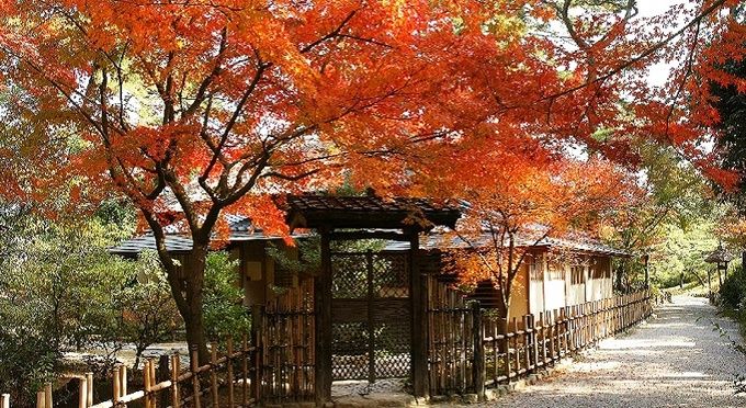 特別名勝　栗林公園