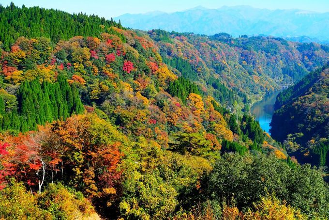 蘇陽峡（そようきょう）の紅葉