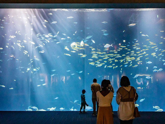 四国水族館