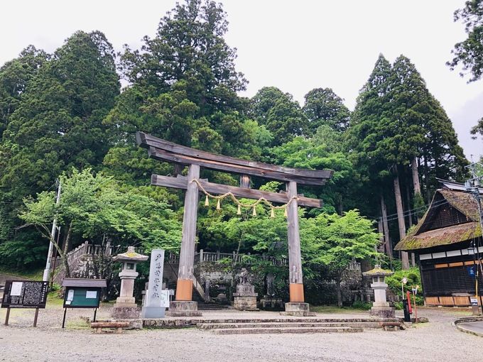 戸隠神社・五社