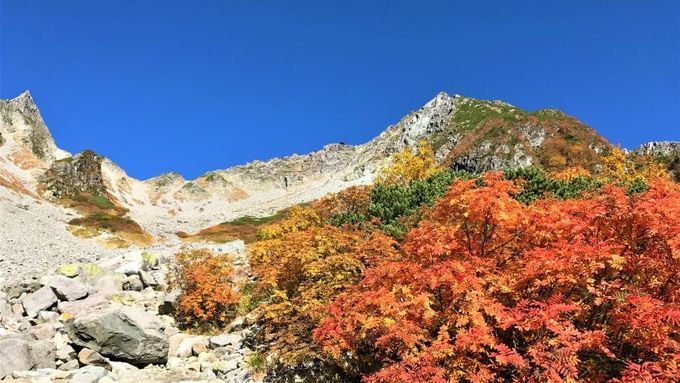 涸沢カール