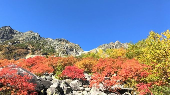 涸沢カール