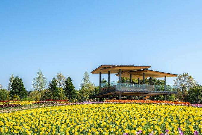備北丘陵公園