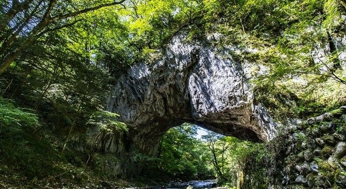 国の天然記念物　「雄橋」