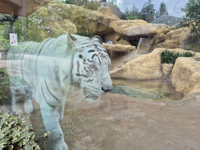 いしかわ動物園