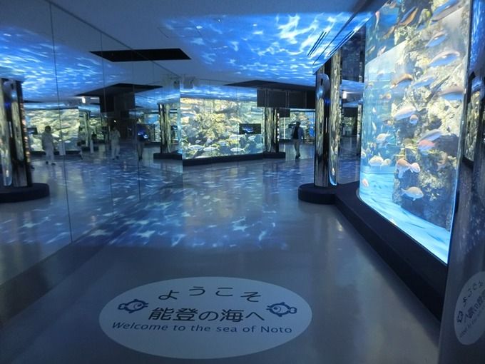 のとじま水族館
