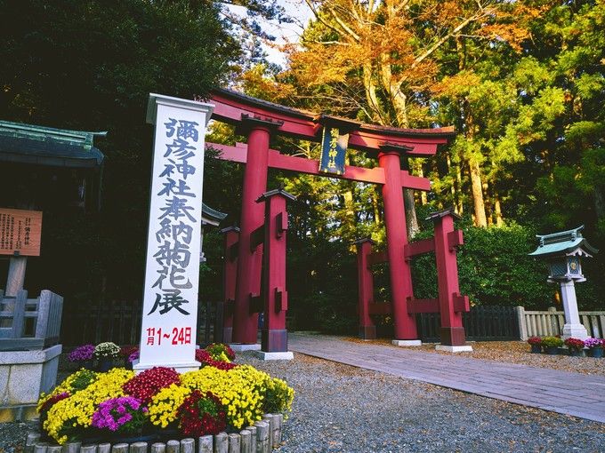 ～越後一ノ宮～弥彦神社