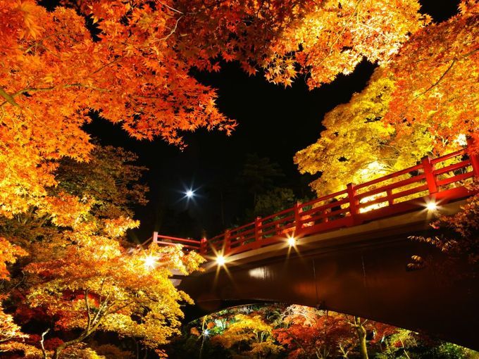 ～越後一ノ宮～弥彦神社