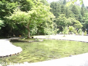 滋賀県醒井（さめがい）養鱒場