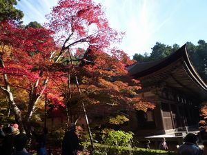 金剛輪寺（湖東三山）