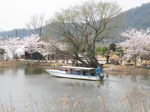 水郷めぐり（島真珠水郷観光船）