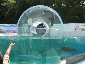 新屋島山上水族館