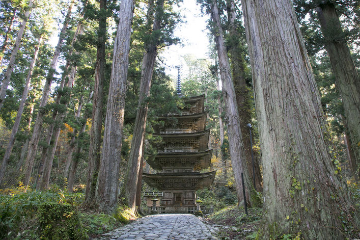東北最古の五重塔　色は塗られていませんがより渋さが印象的です