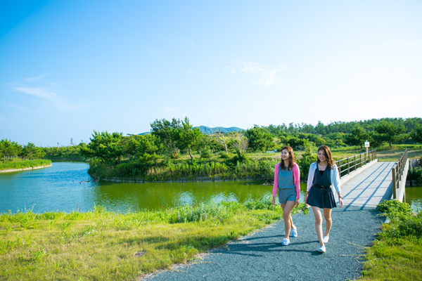 鳥の声を聞きながら園地を散策