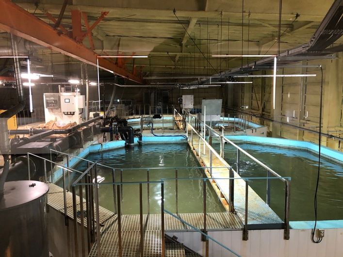 林養魚株式会社