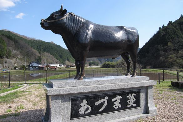 「比婆牛」とは？