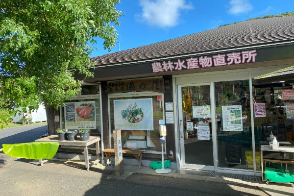 下賀茂湯けむりコース 道の駅湯の花