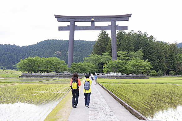 (2)公共交通で行く休暇村⇔本宮エリア
