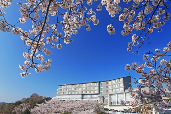 春は桜、秋は彼岸花、冬は水仙が咲く小径があります
