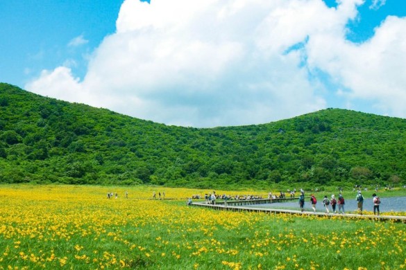 地元ガイドと行く 花の雄国沼湿原トレッキング