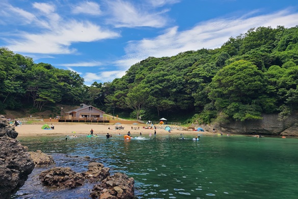 庵蛇浜ってどんなところ？
