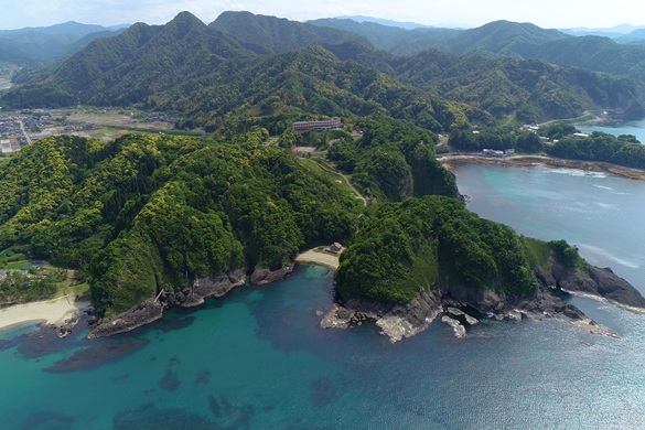 庵蛇浜ってどんなところ？
