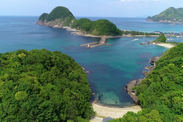 庵蛇浜ってどんなところ？