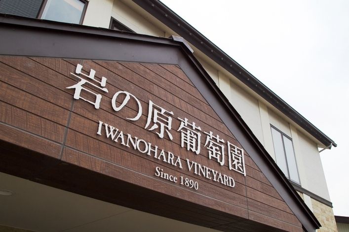 楽しみ方いろいろ♪