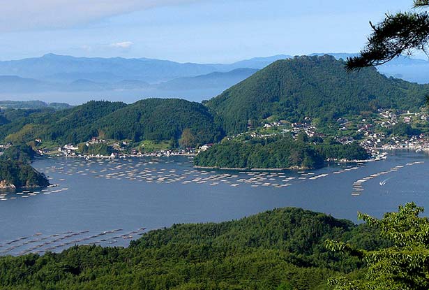 早馬山