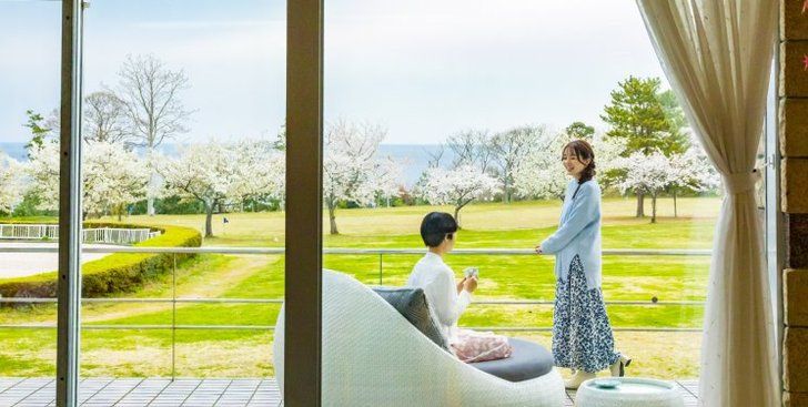 夕陽と桜のテラス