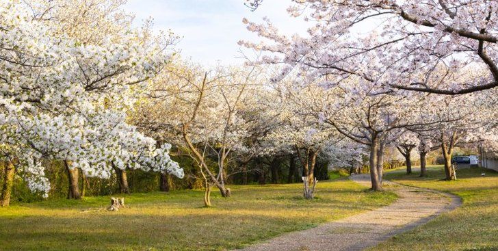 休暇村園地と海岸へと続く遊歩道