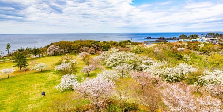 休暇村園地と海岸へと続く遊歩道